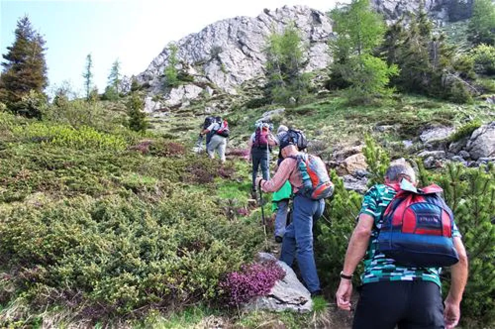 Naturpark Schluga Seecamping
