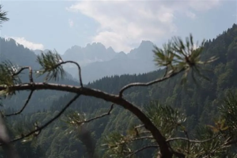 Naturpark Schluga Seecamping