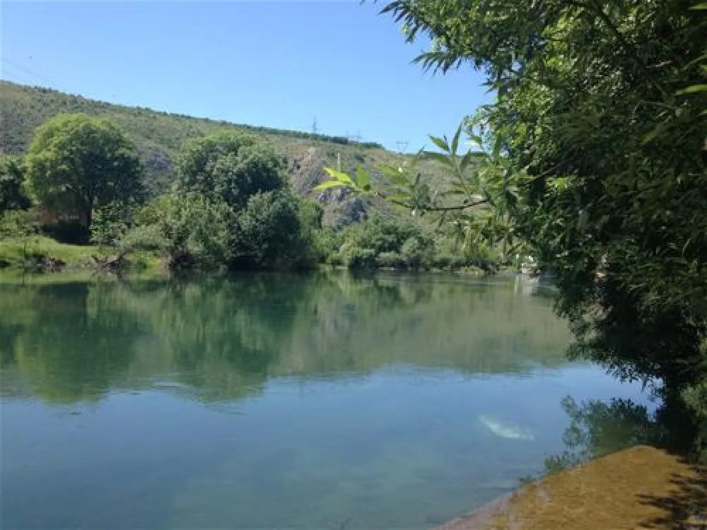River Camp - HALF ISLAND Buna