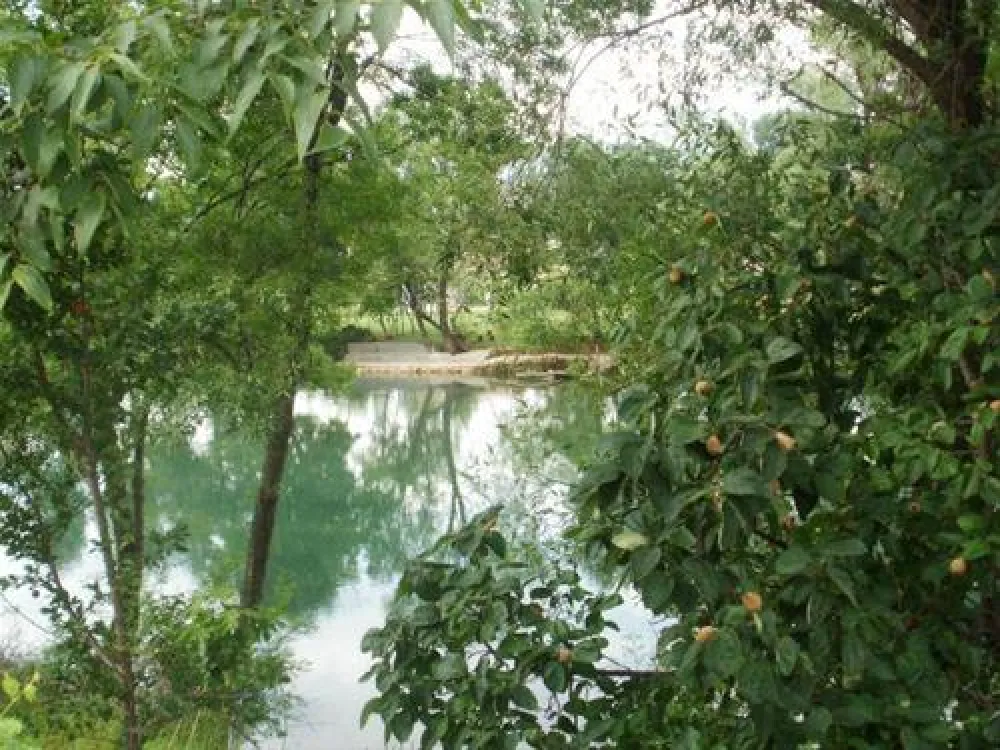 River Camp - HALF ISLAND Buna