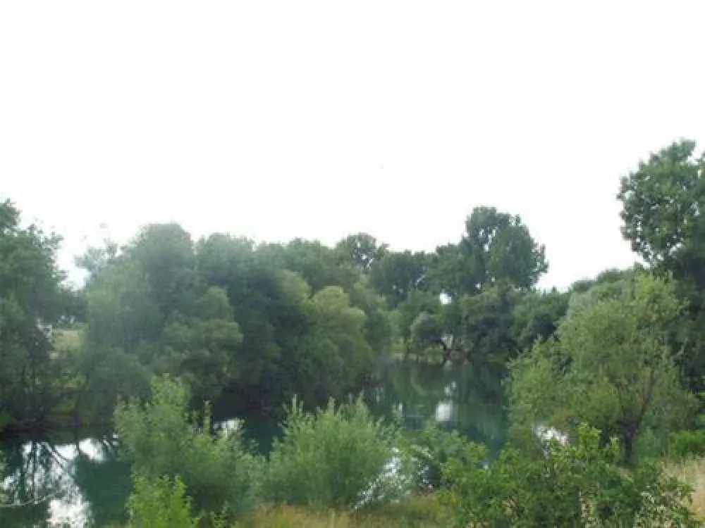 River Camp - HALF ISLAND Buna