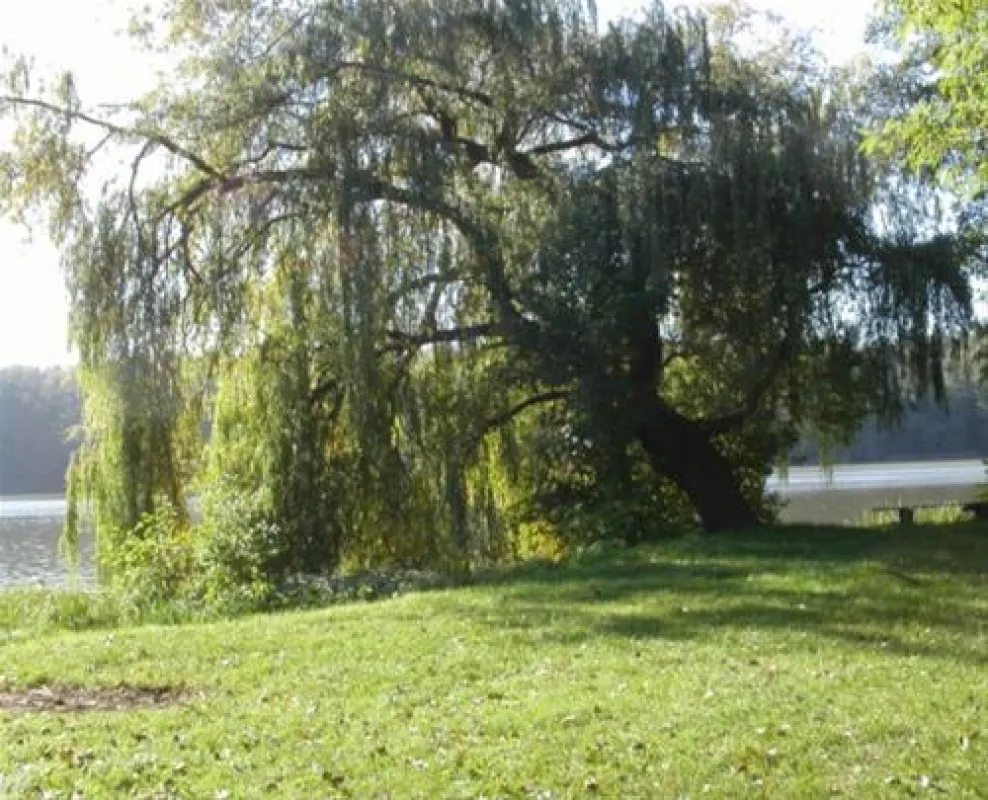 Camping Chossewitzer See