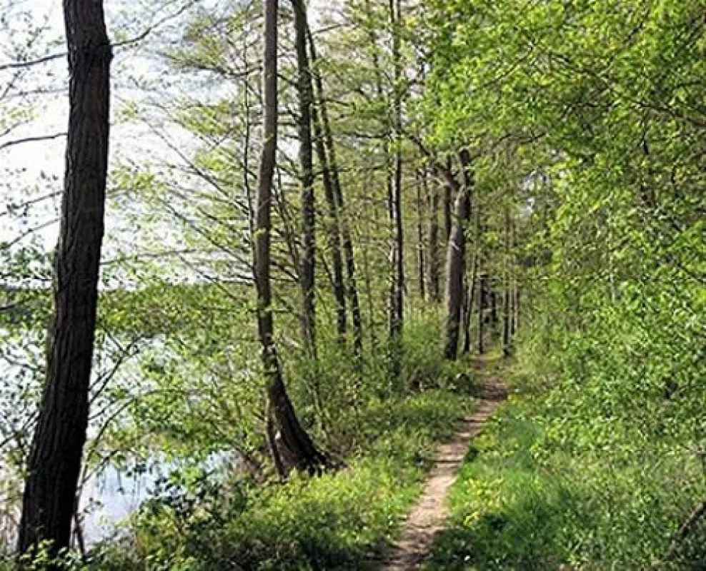 Camping Chossewitzer See