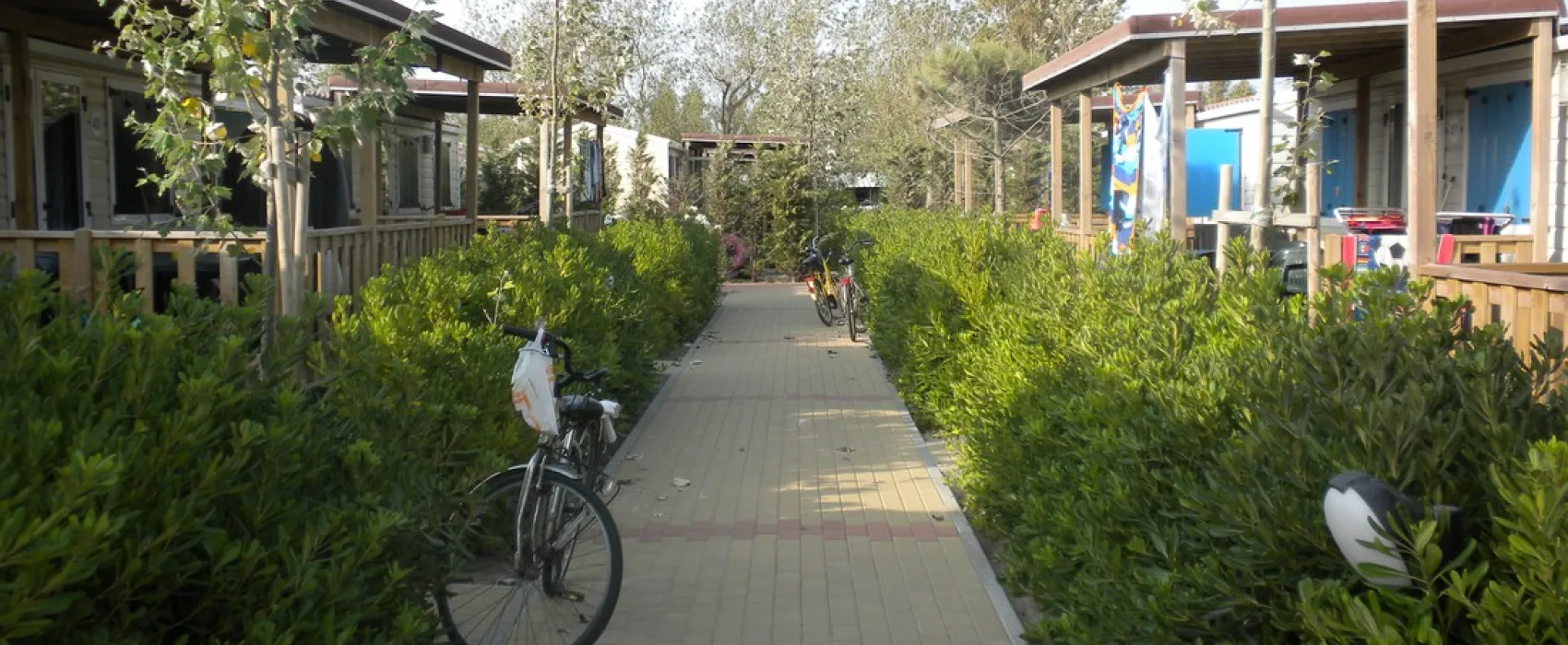 Camping Rosapineta Sud