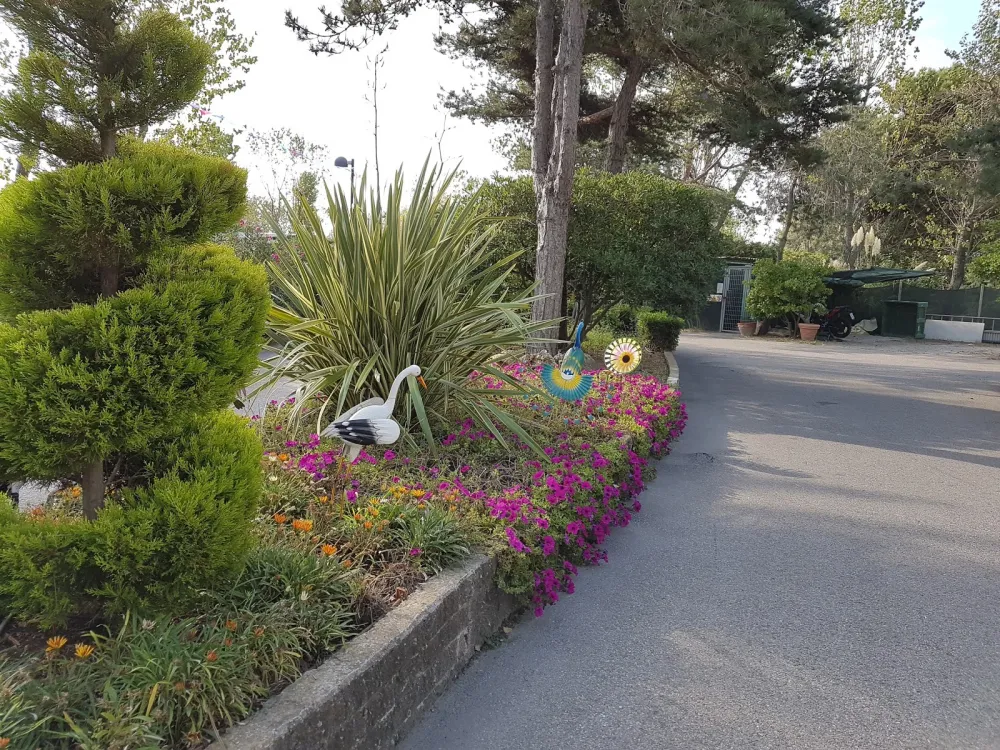 Camping Rosapineta Sud