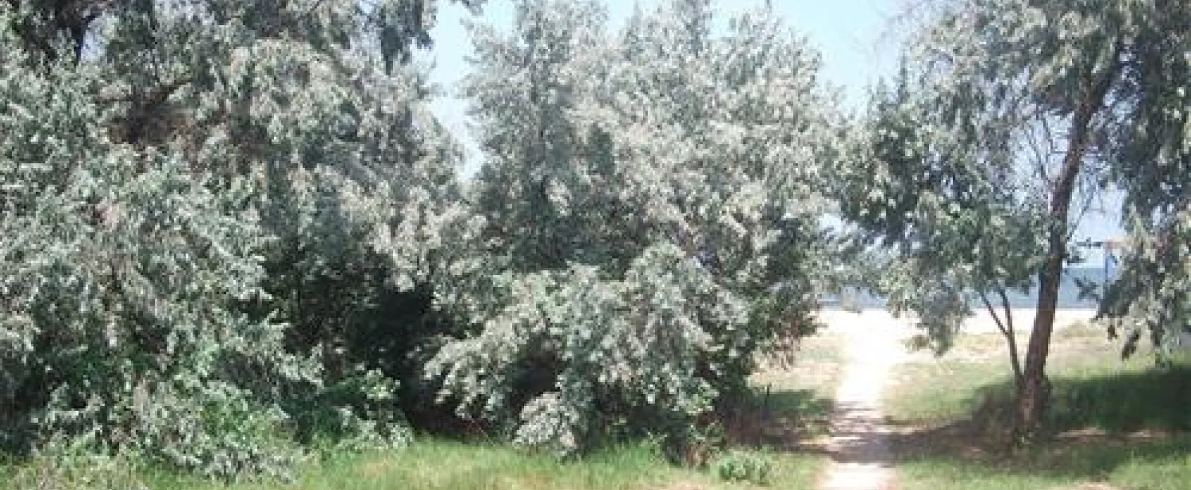 Kemping dlya karavanov "V gostyah u Jokera"