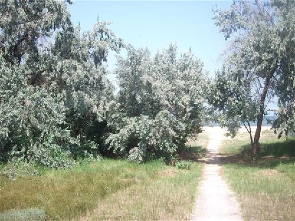 Kemping dlya karavanov "V gostyah u Jokera"