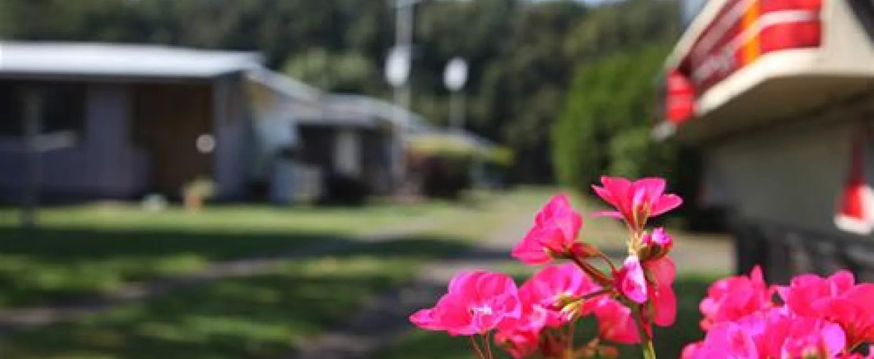 Camping- und Mobilheimplatz