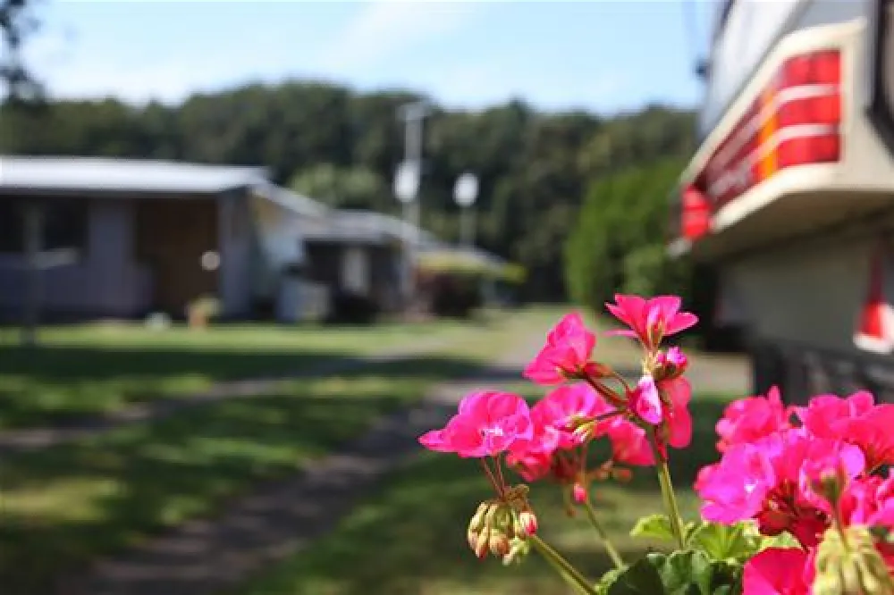 Camping- und Mobilheimplatz