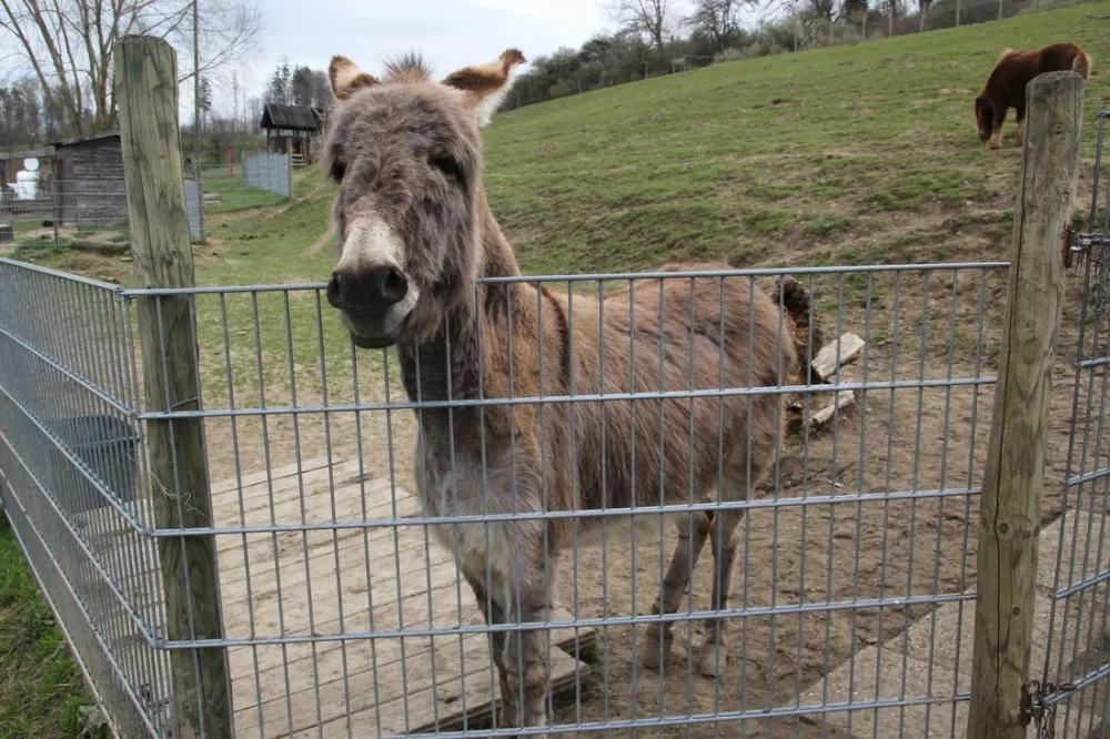 Gern-Campinghof Salem