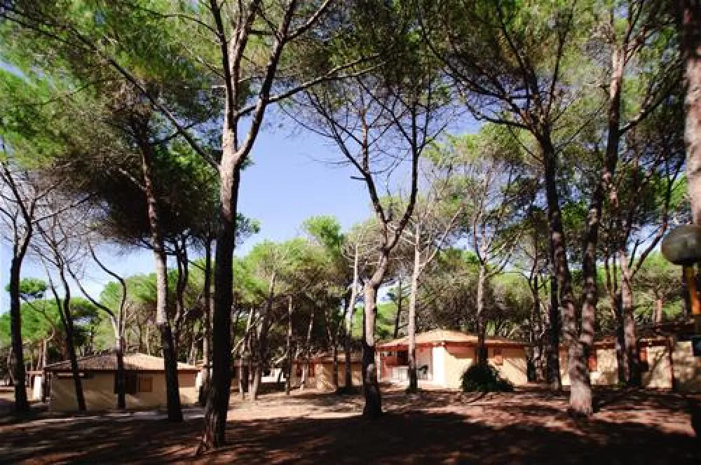 Is Arenas Camping Village