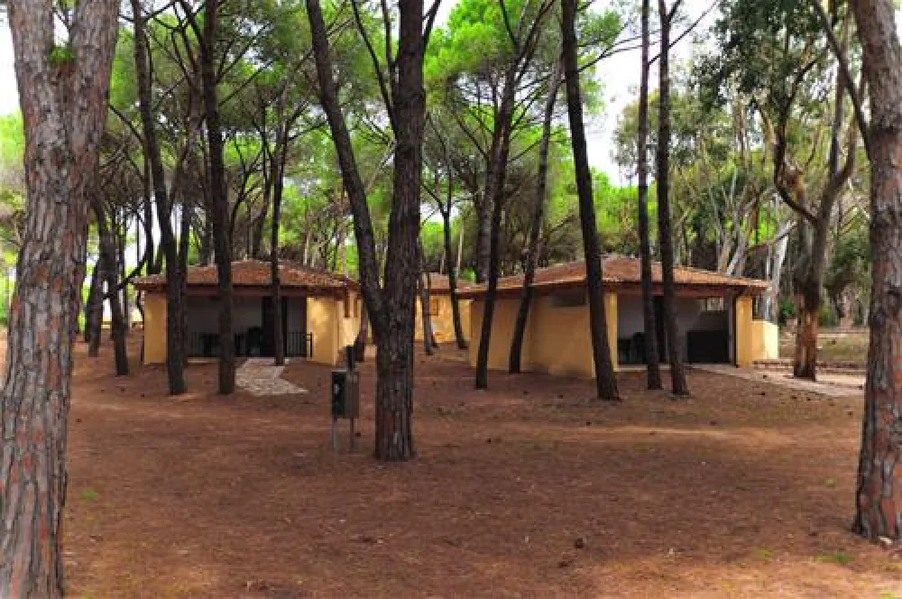 Is Arenas Camping Village