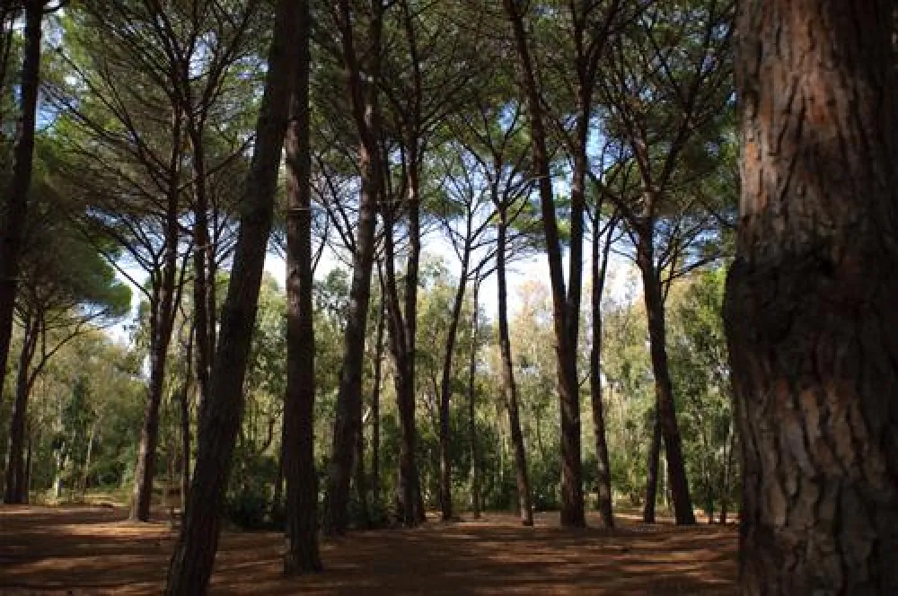 Is Arenas Camping Village