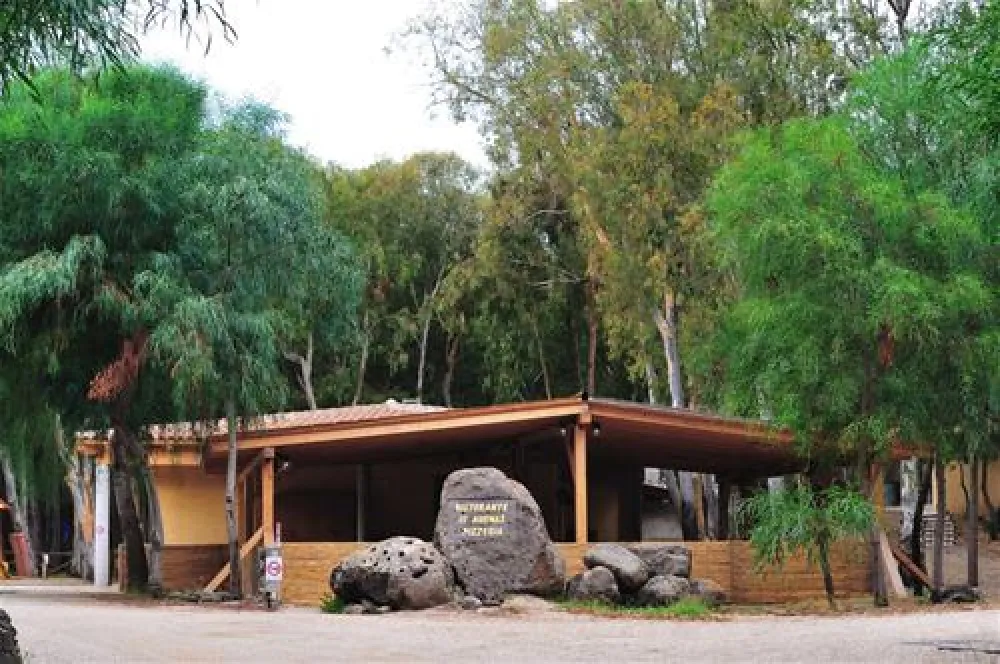 Is Arenas Camping Village