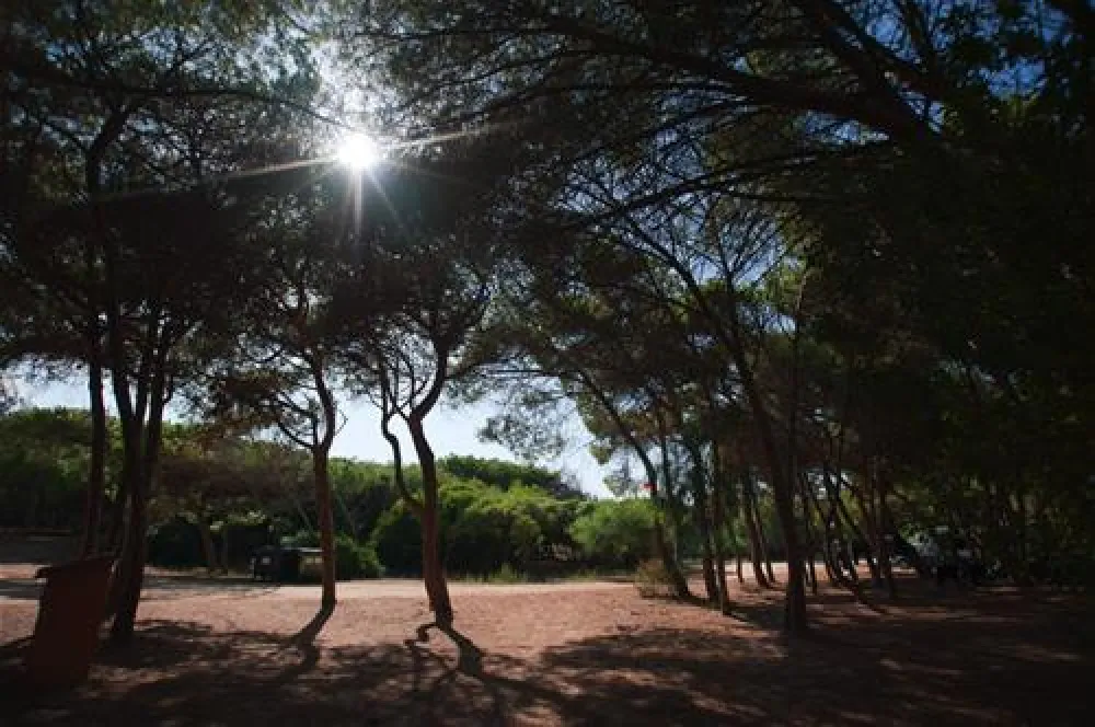 Is Arenas Camping Village