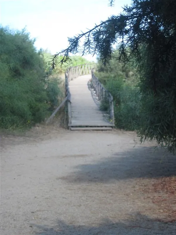 Is Arenas Camping Village