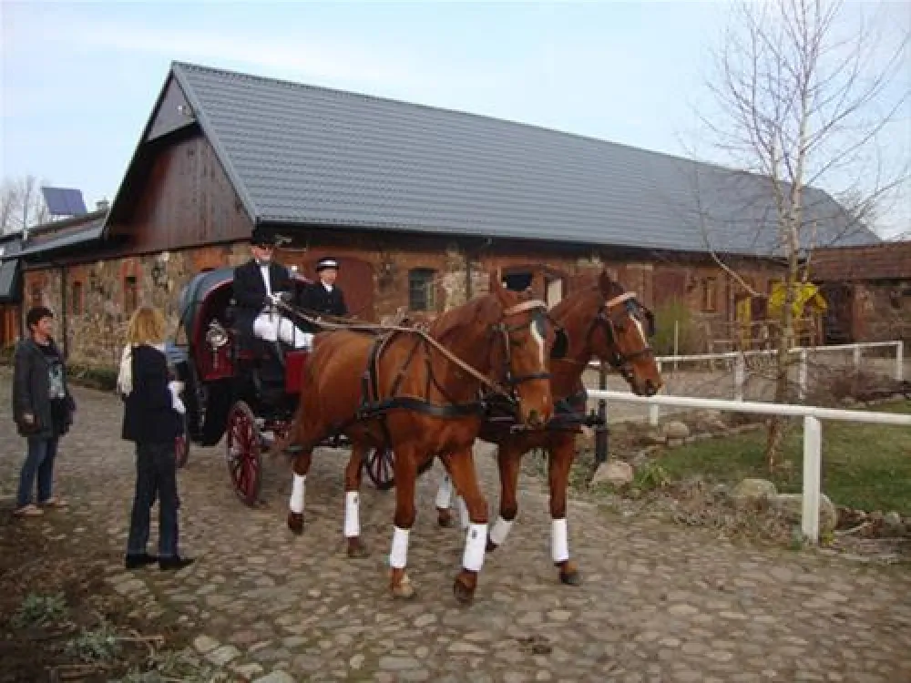 Camping Stary Folwark