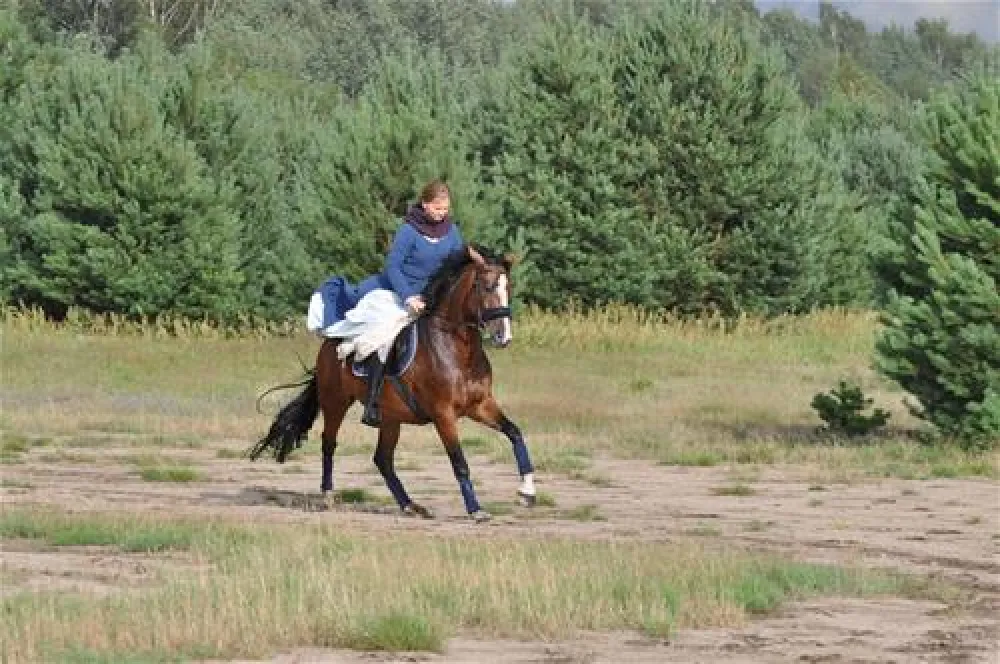 Camping Stary Folwark