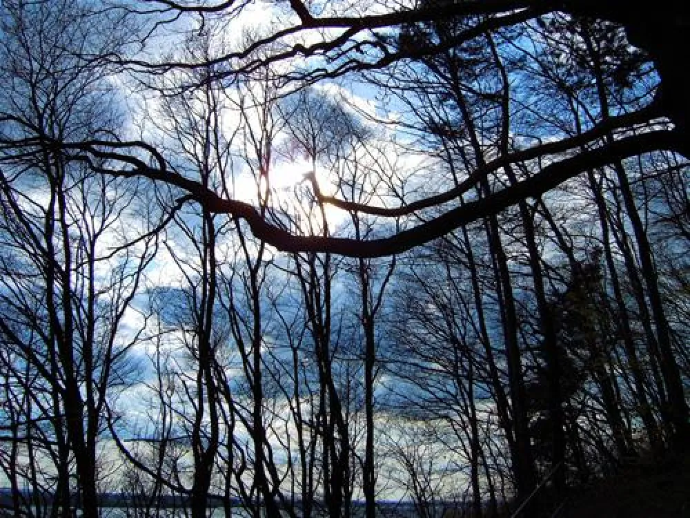Campingplatz Elbe Camp