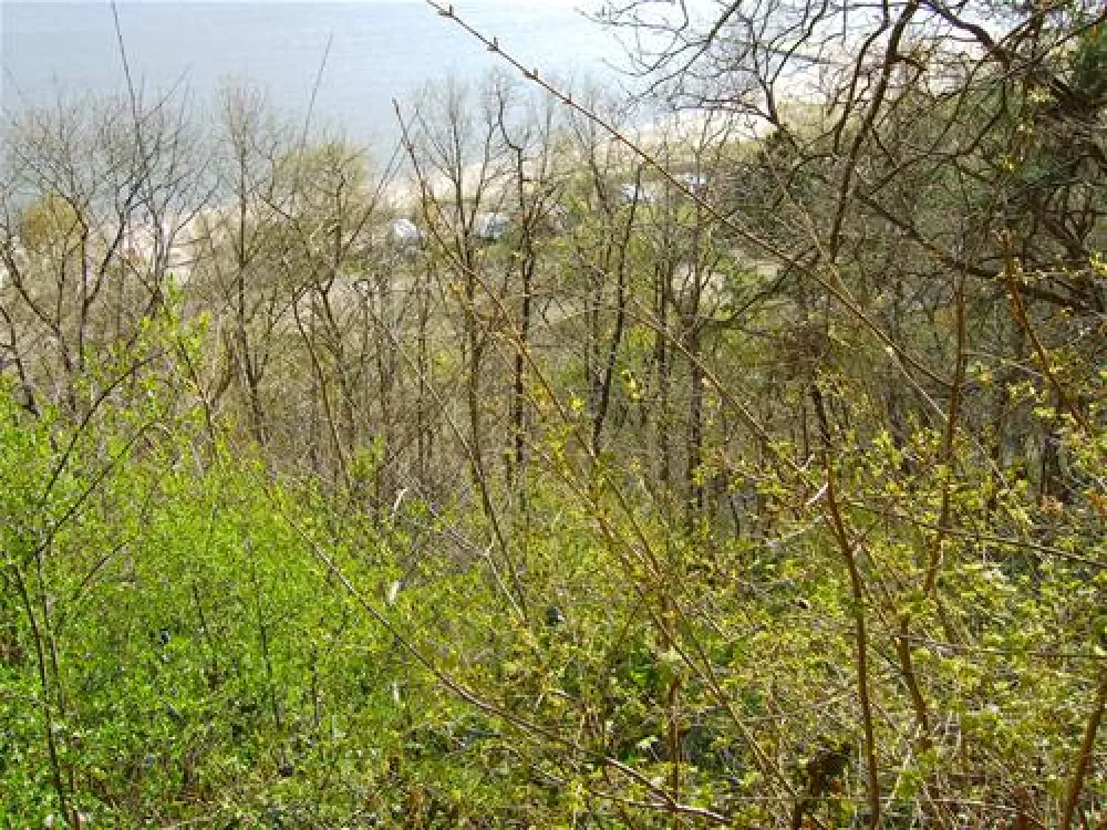 Campingplatz Elbe Camp