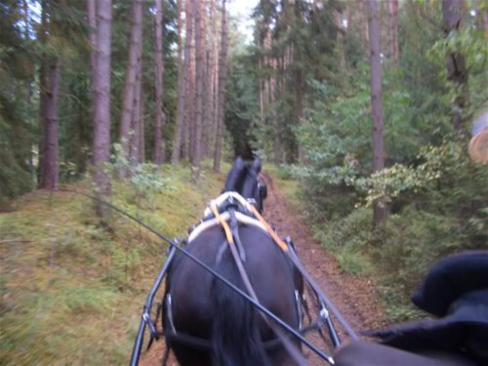 Camping Zum Oertzewinkel