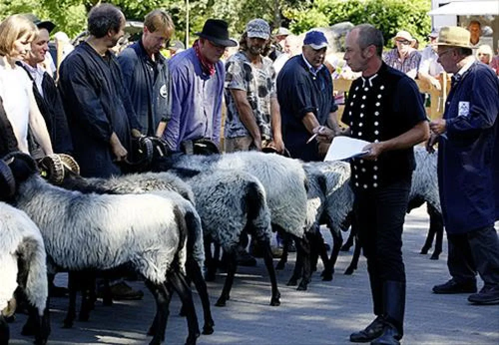 Camping Zum Oertzewinkel