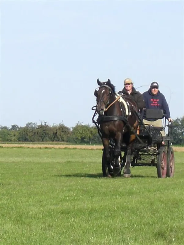Camping Zum Oertzewinkel