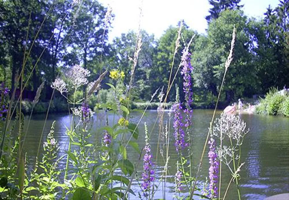 Camping Zum Oertzewinkel