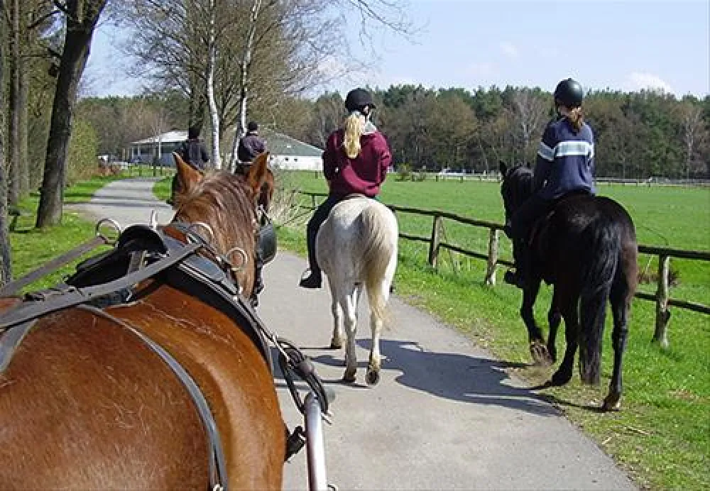 Camping Zum Oertzewinkel