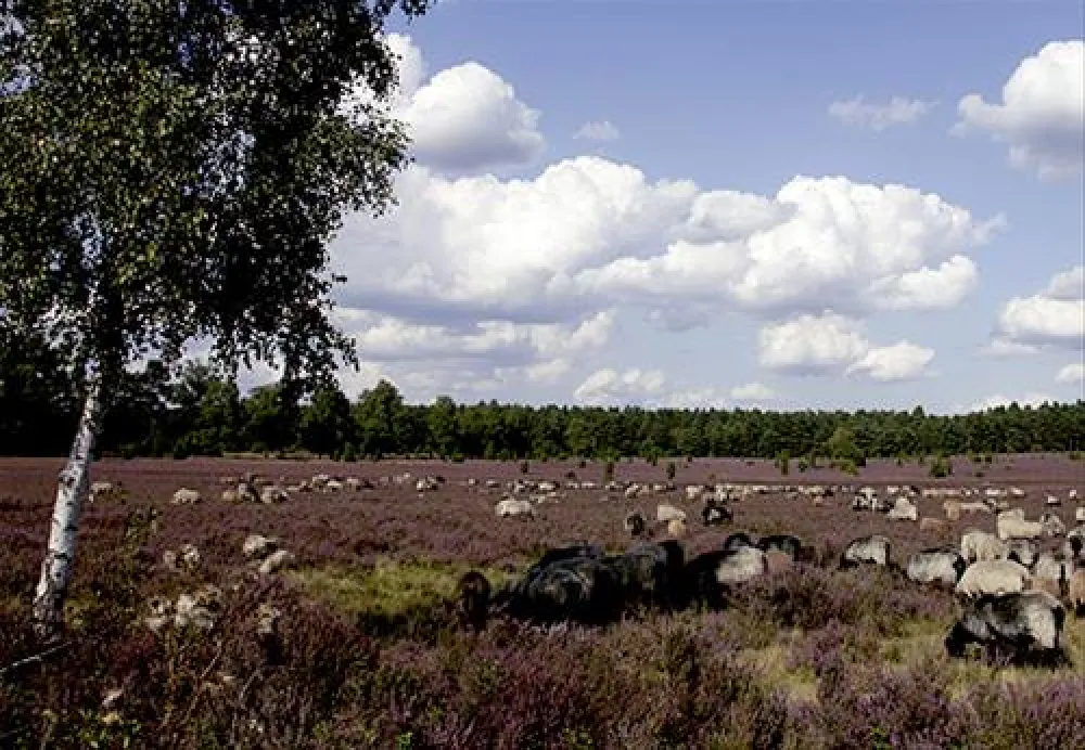Camping Zum Oertzewinkel