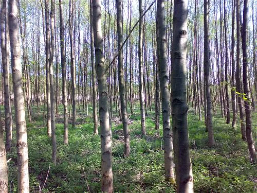 Camping Zum Oertzewinkel