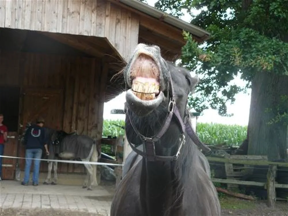 Camping Zum Oertzewinkel