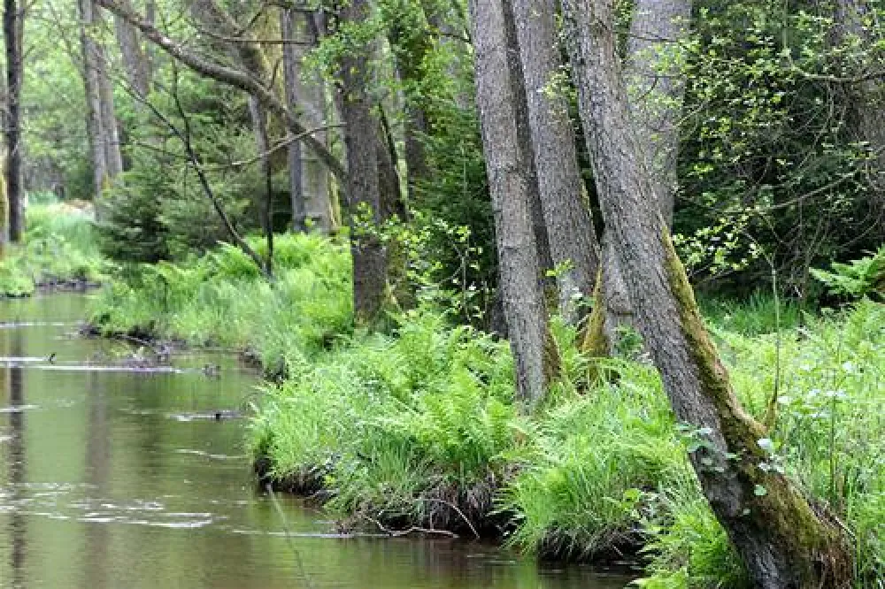 Camping Zum Oertzewinkel