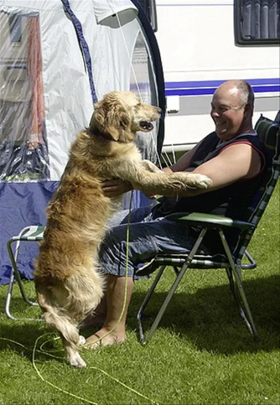 Camping Zum Oertzewinkel