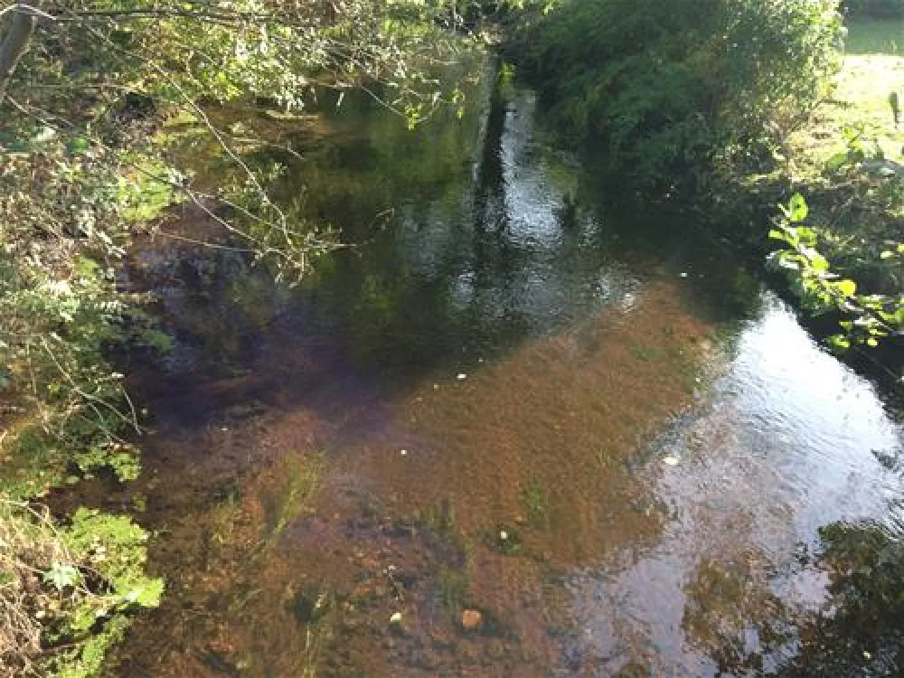 Camping Zum Oertzewinkel