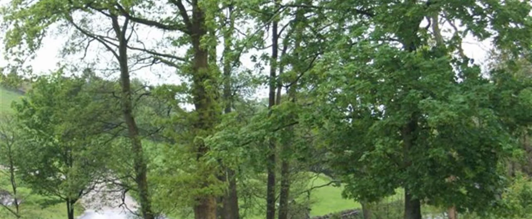 Park Cliffe Caravan and Camping Estate