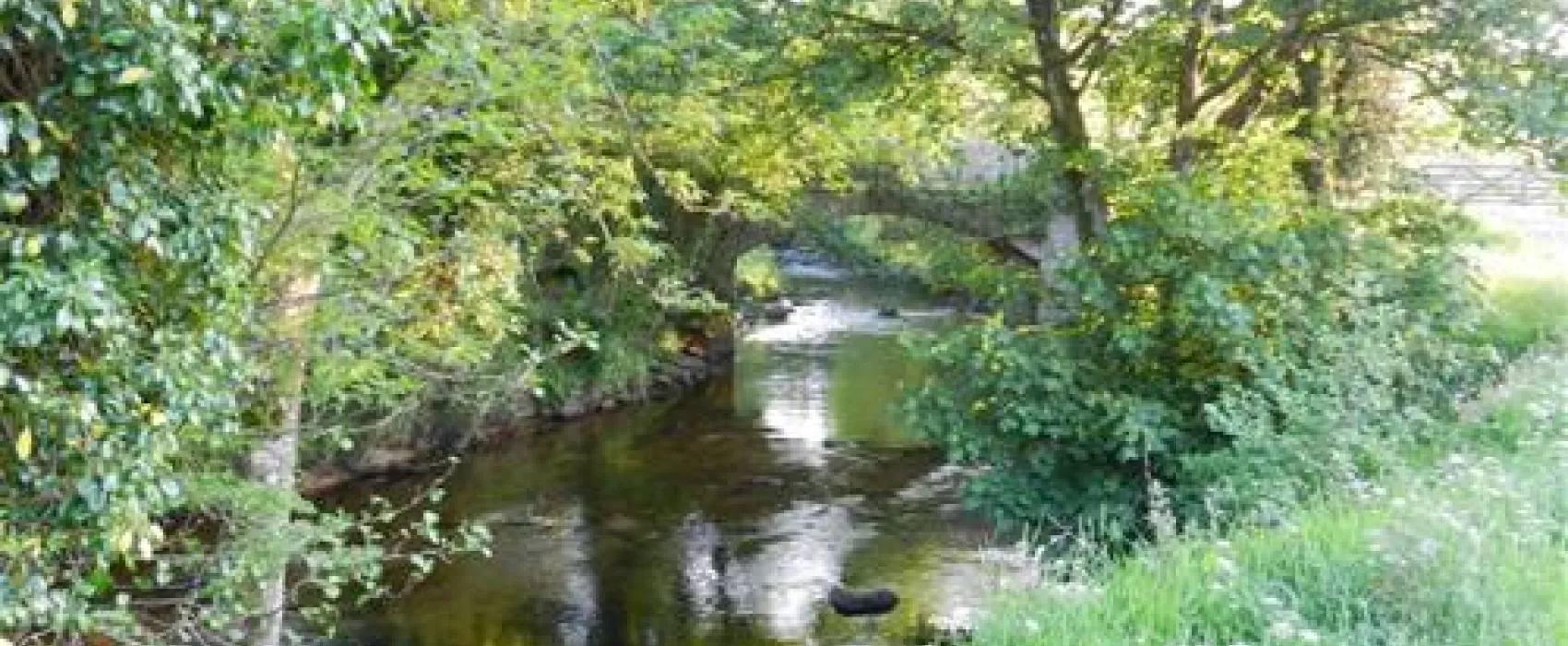 Woodland Springs Touring Park