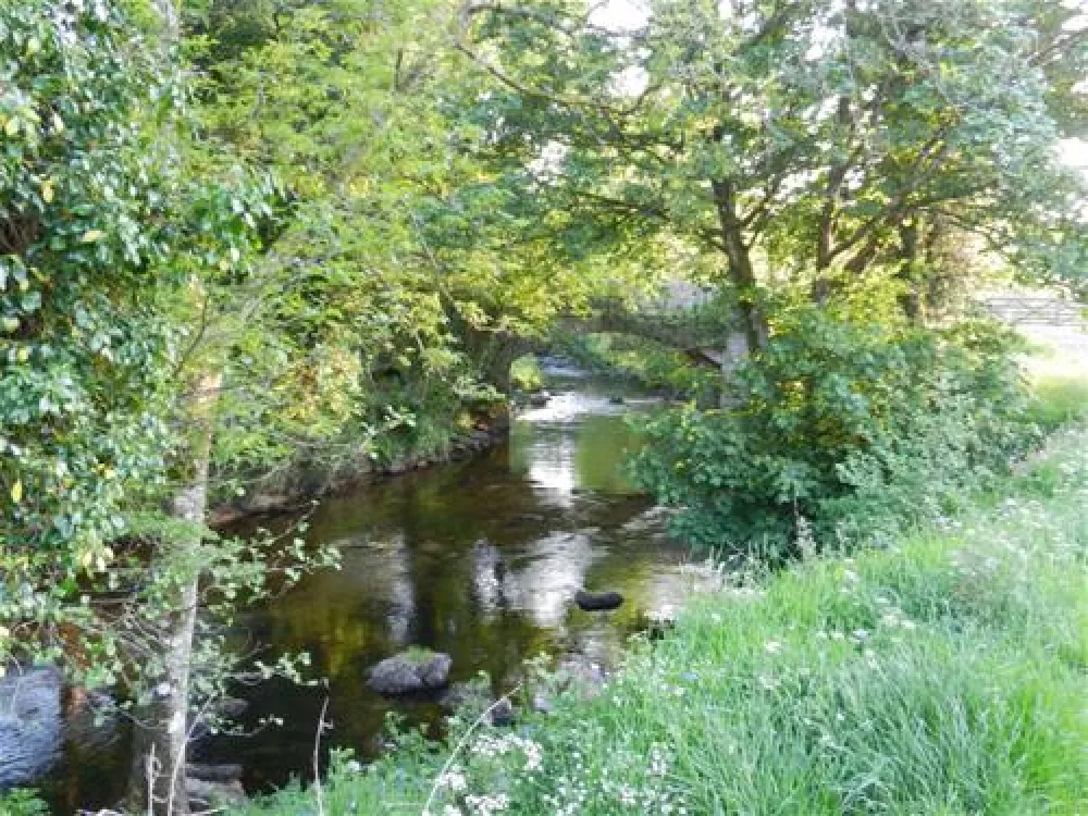 Woodland Springs Touring Park