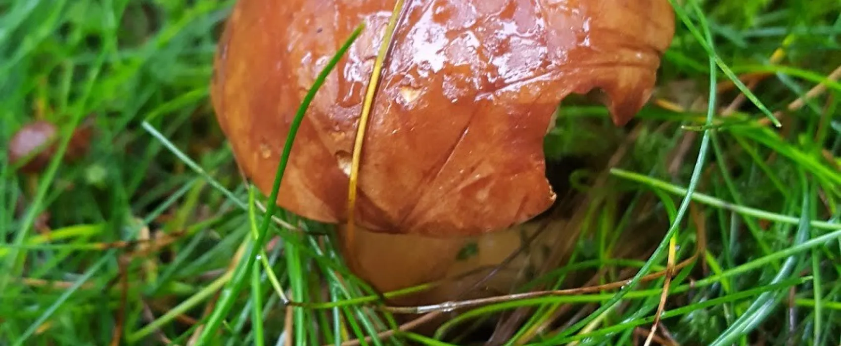 Intercamping Großbreitenbach