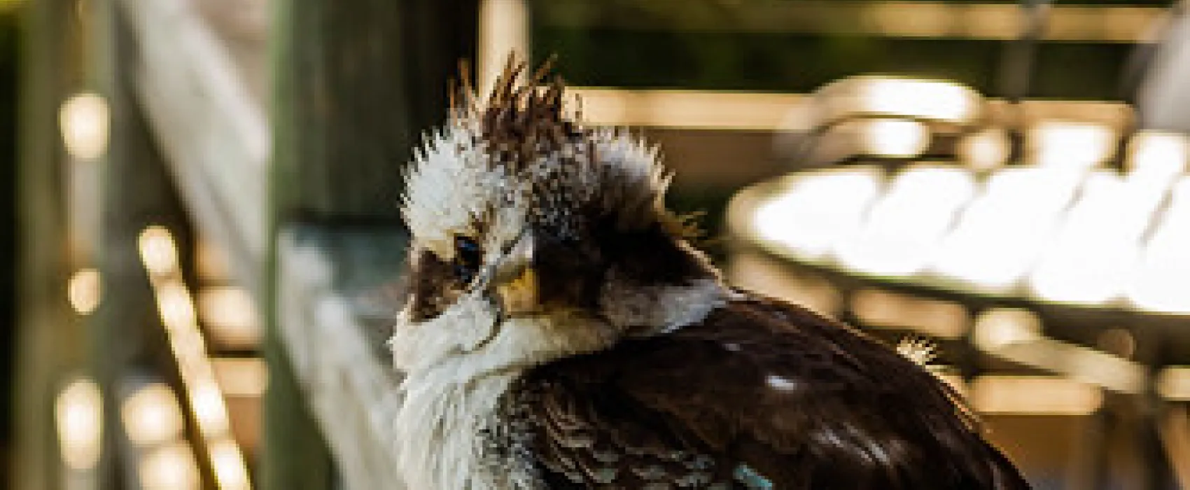 River and Rocks Campground
