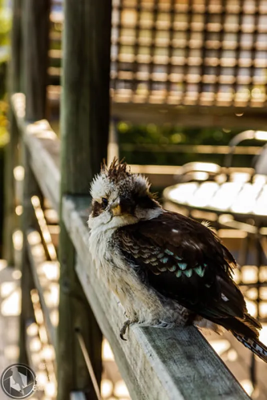 River and Rocks Campground