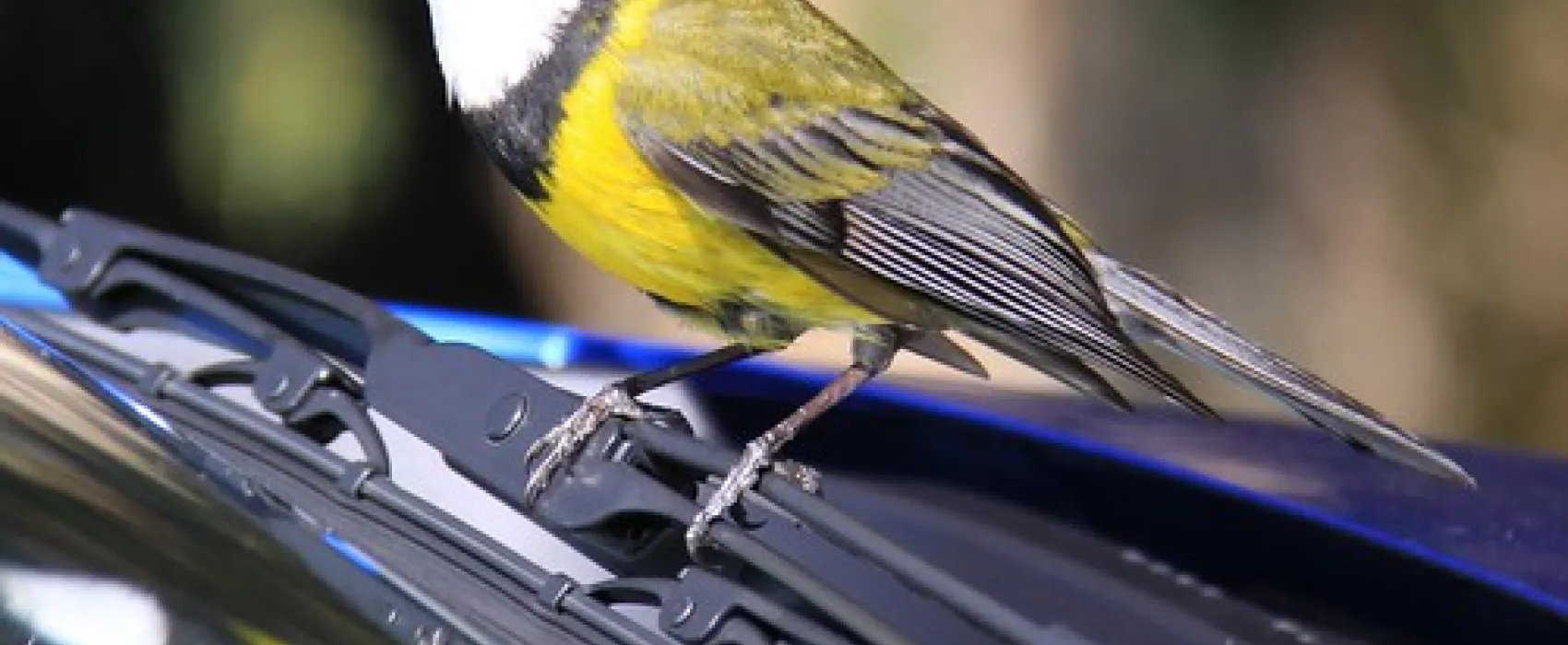 River and Rocks Campground