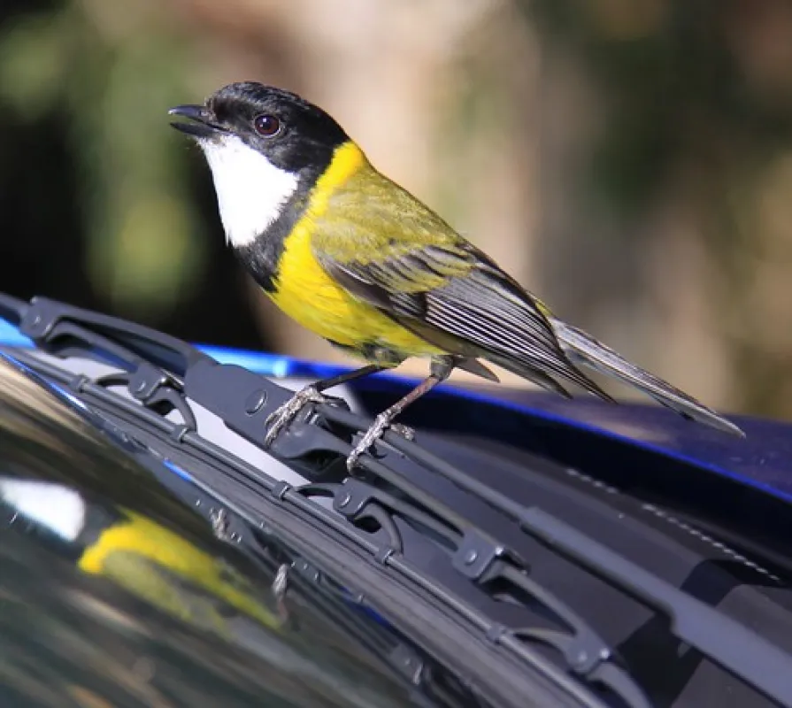 River and Rocks Campground