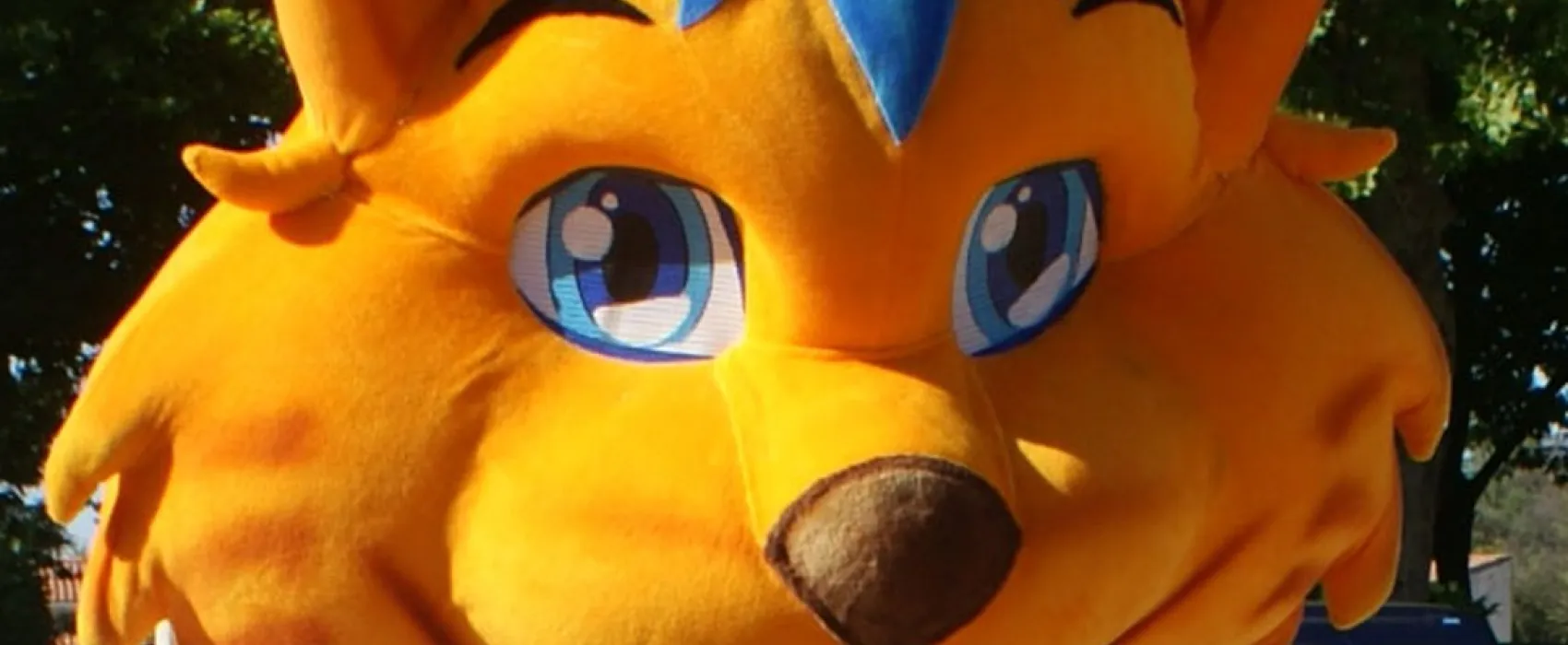 La Ferme St. Augustin