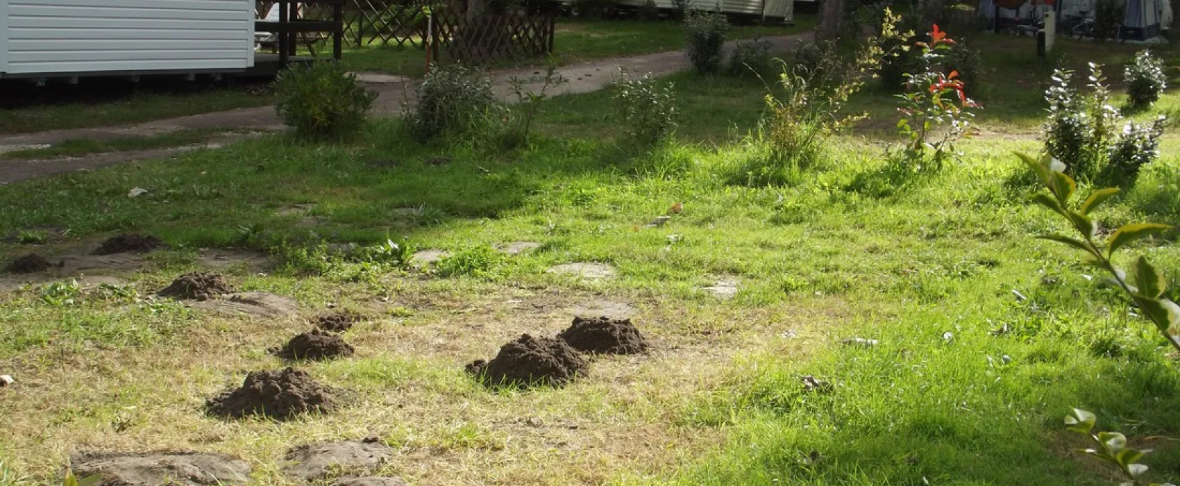 La Ferme St. Augustin