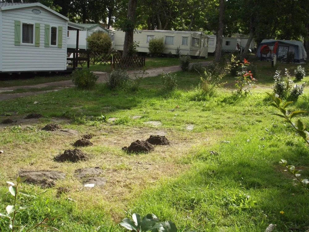 La Ferme St. Augustin