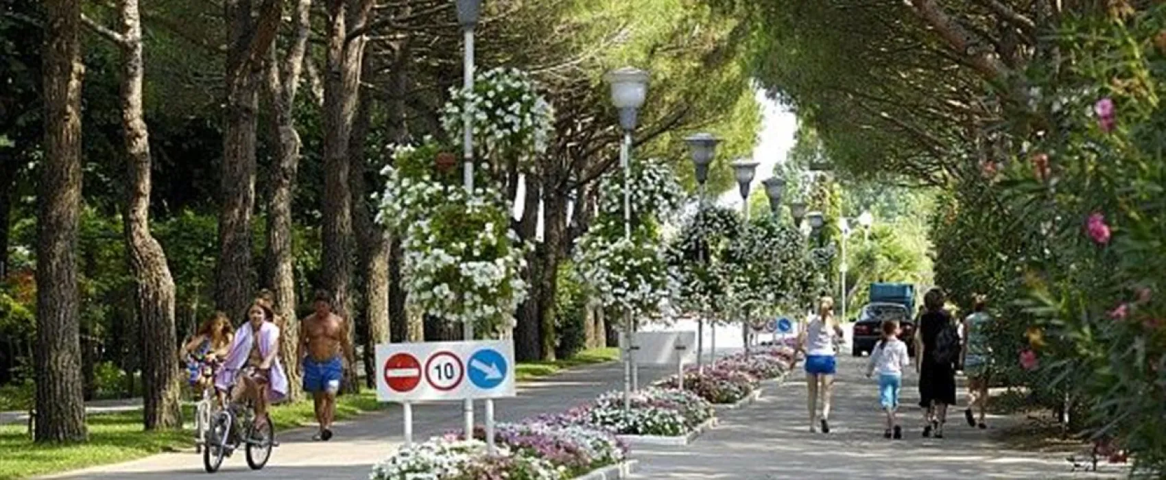 Campeggio Europa Cavallino