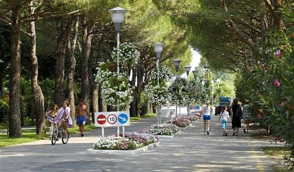 Campeggio Europa Cavallino