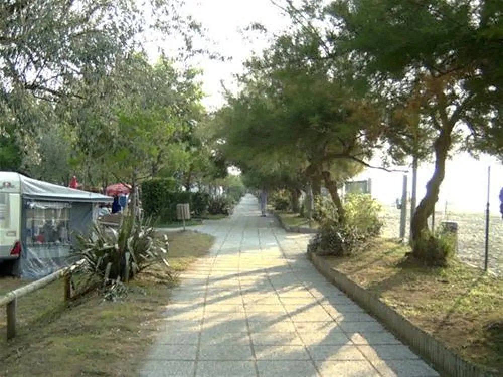 Campeggio Europa Cavallino