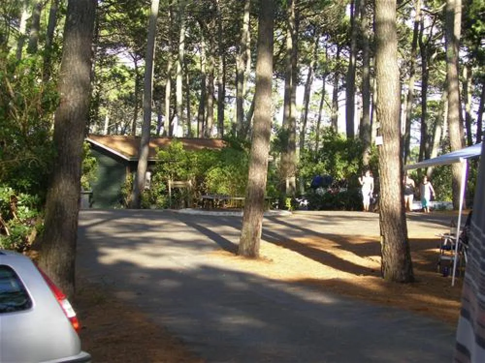 Yelloh! Village Panorama du Pyla